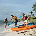Pelican Poseidon Paddle 89 in – Aluminum Shaft with Reinforced Fiberglass Blades – Lightweight, Adjustable Kayaks Paddles – Perfect for Kayaking Boating & Kayak Fishing (Blue, 2020 Model)