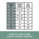 BENDING BRANCHES Beavertail Recreational Canoe Paddle for Deep Water Lake Paddling