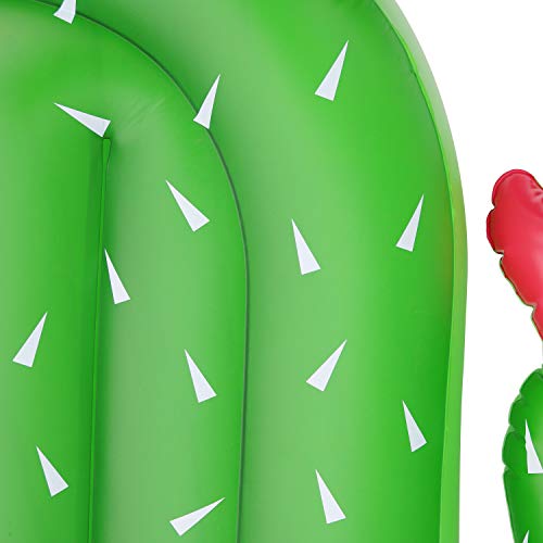 cactus pool float