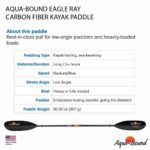 AQUA BOUND Eagle Ray Carbon 2-Piece Kayak Paddle, Black CR Blade/Posi-Lok Carbon Shaft, 250 cm