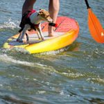 Karltion Kayak Paddle – Adjustable 2 Pieces Aluminum Alloy Shaft with Glass Fiber Blade for Surfing,Oar Fishing Easy Packable Travel-Orange