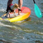 Karltion Kayak Paddle – Adjustable 2 Pieces Aluminum Alloy Shaft with Glass Fiber Blade for Surfing,Oar Fishing Easy Packable Travel- Mint Green