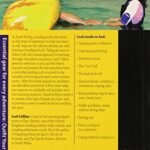 Kayak Rolling: The Black Art Demystified (How to Paddle Series)